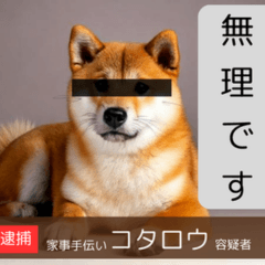 Shiba Inu Suspect's Case Files!