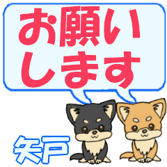 Yato's letters Chihuahua2