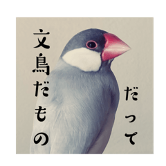 p-suke_20241103141134