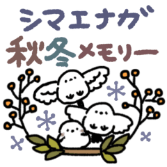 Cute shimaenaga autumn and winter