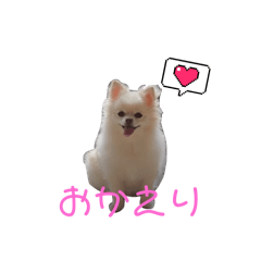 achi_20241103145513