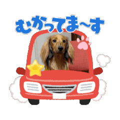 KAICHON_20241103211944