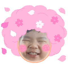 ayakayano_20241103202033