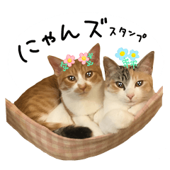 Nyan-s & Flowers Sticker