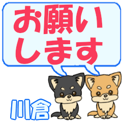 Kawakura's letters Chihuahua2