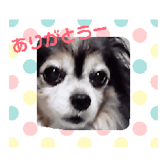 peace_20241104104406