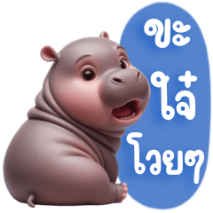 Hippo, speaking northern Thai language