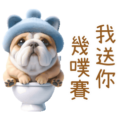 貓貓鬥牛犬：動不停