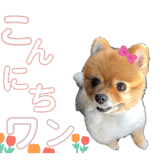 Nicolette_20241104084720