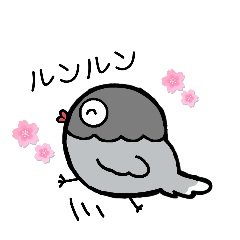 Little bird poppo