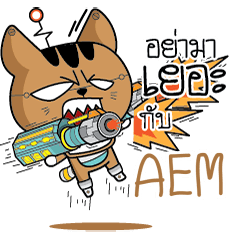 AEM Robot cat e