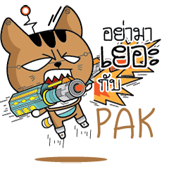 PAK Robot cat e