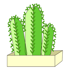 Tne cactus