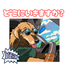 KAICHON_20241104120605