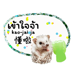 Cute greetings to cute hedgehogs-3