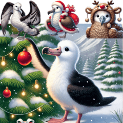 Wing the Albatross: Winter Joy!