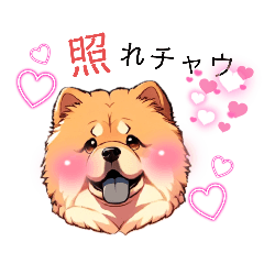 Love chowchow_20241104173900