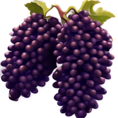 [For stamp arrangement] Grape