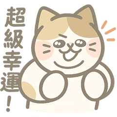 貓的超級幸運日常