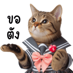 Tabby cat wearing a girl uniform v.1