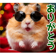 Cool hamster wearing sunglasses