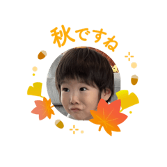 Tiger1109_20241104173646