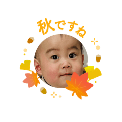 MoguMogu_20241104203836
