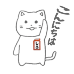 Katoke_20241104205021