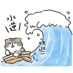 奶油小生放棄掙扎(虎斑貓)