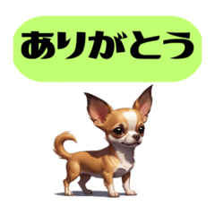 Chihuahua support