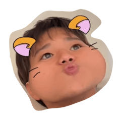 tanari_20241104213547
