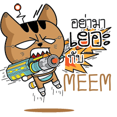 MEEM Robot cat e