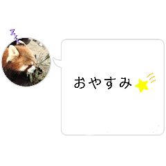 TONTON_20241104214321