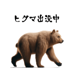 Realistic Brown Bears4 [Appearance]