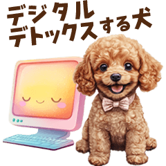 Digital detox! Toy Poodle.