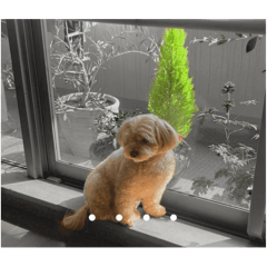 mimiyo_20241105231324