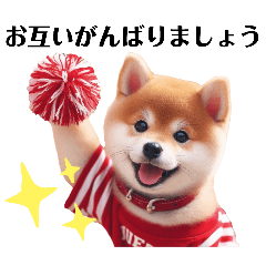 かわいい柴犬の犬スタンプ