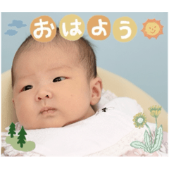 Wakashi_20241106122957