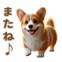 Corgi -Energy and Healing-