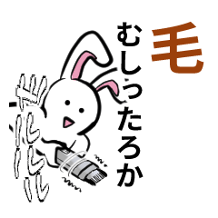 The rabbit with a strong habit