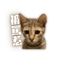 厭世看人間