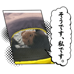 musama_20241106195258
