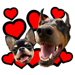 Doberman & Chihuahua sticker