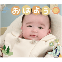 Baby Taro 2024