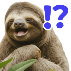 Super cute Sloth sticker