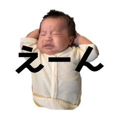 mona._20241107152705