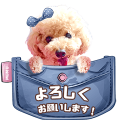 渡辺家の日常会話③