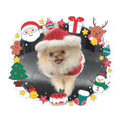 teto_20241107234244