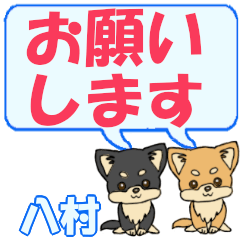 Hachimura's letters Chihuahua2