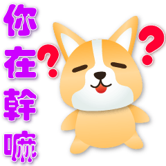 Cute Corgi- practical daily life phrases